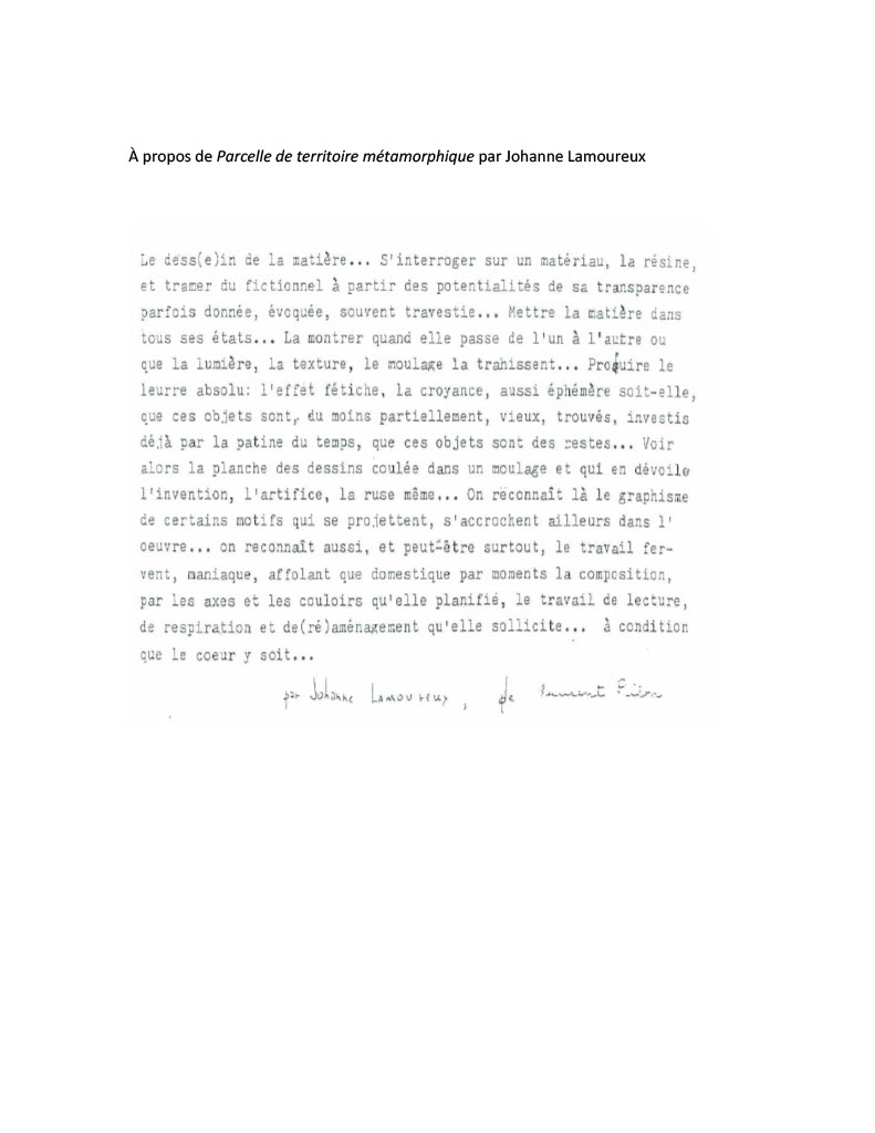 À propos de Parcelle de territoire métamorphique par Johanne Lamoureux